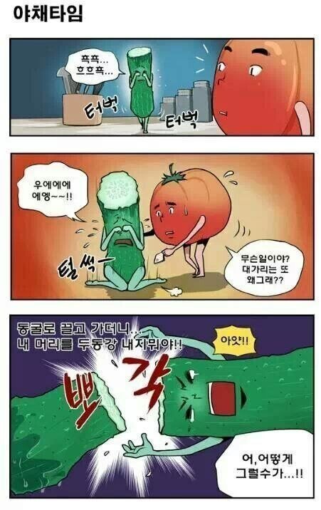 채식주의자