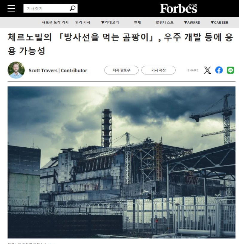 체르노빌에서 발견된 방사능 먹는 곰팡이