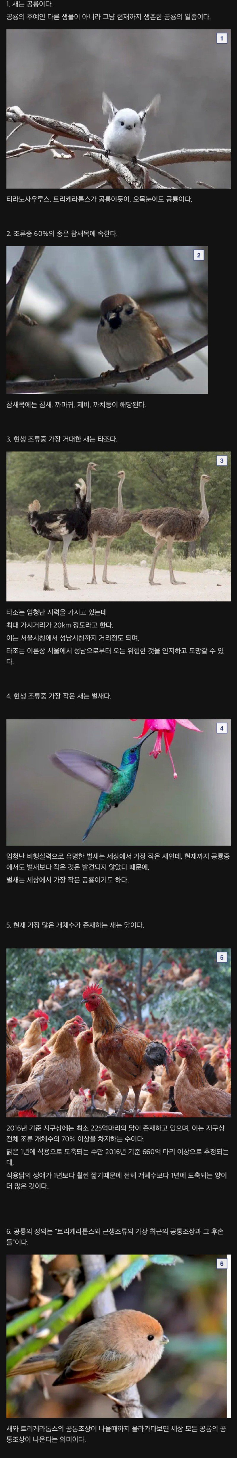 새에대한 재미있는사실들.