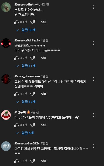 자신이 개인 줄 아는 고양이