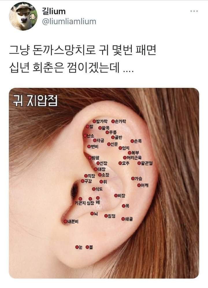 흔한 돈까스 망치가 건강에 좋은 이유