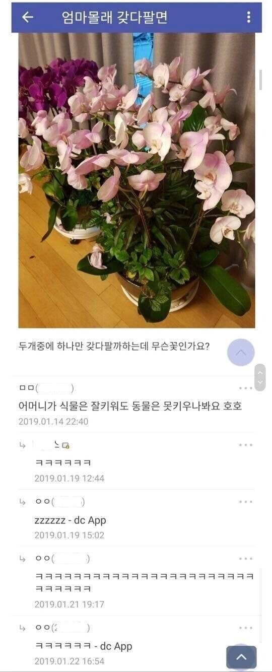 엄마 몰래 하나 팔라고 하는데