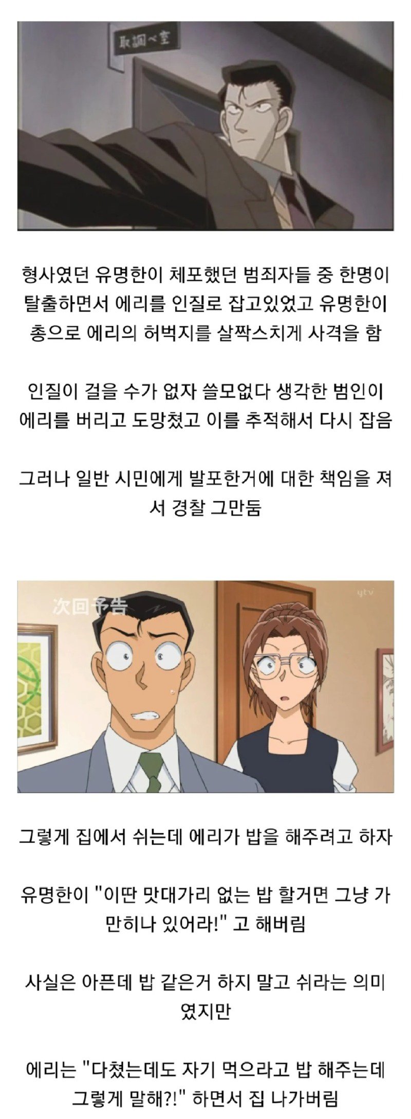 코난 유명한 탐정 별거 이유.jpg