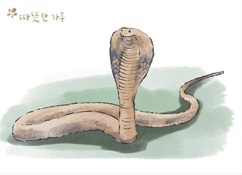 코브라 효과 (Cobra effect)