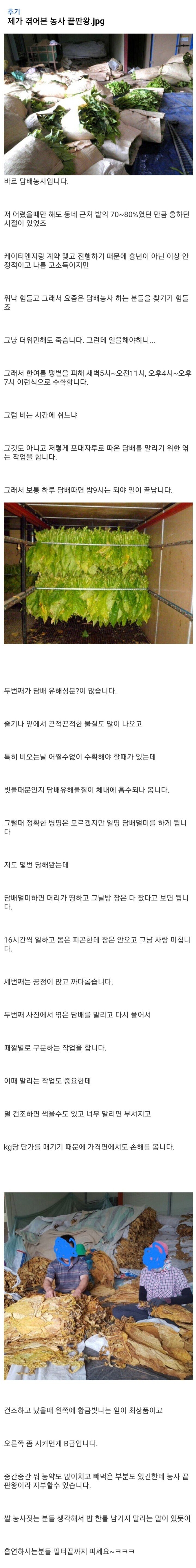 농사 난이도 끝판왕