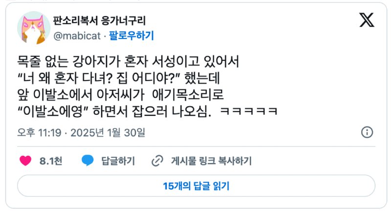 목 줄 없는 강아지한테 "너 집 어디야?" 했더니