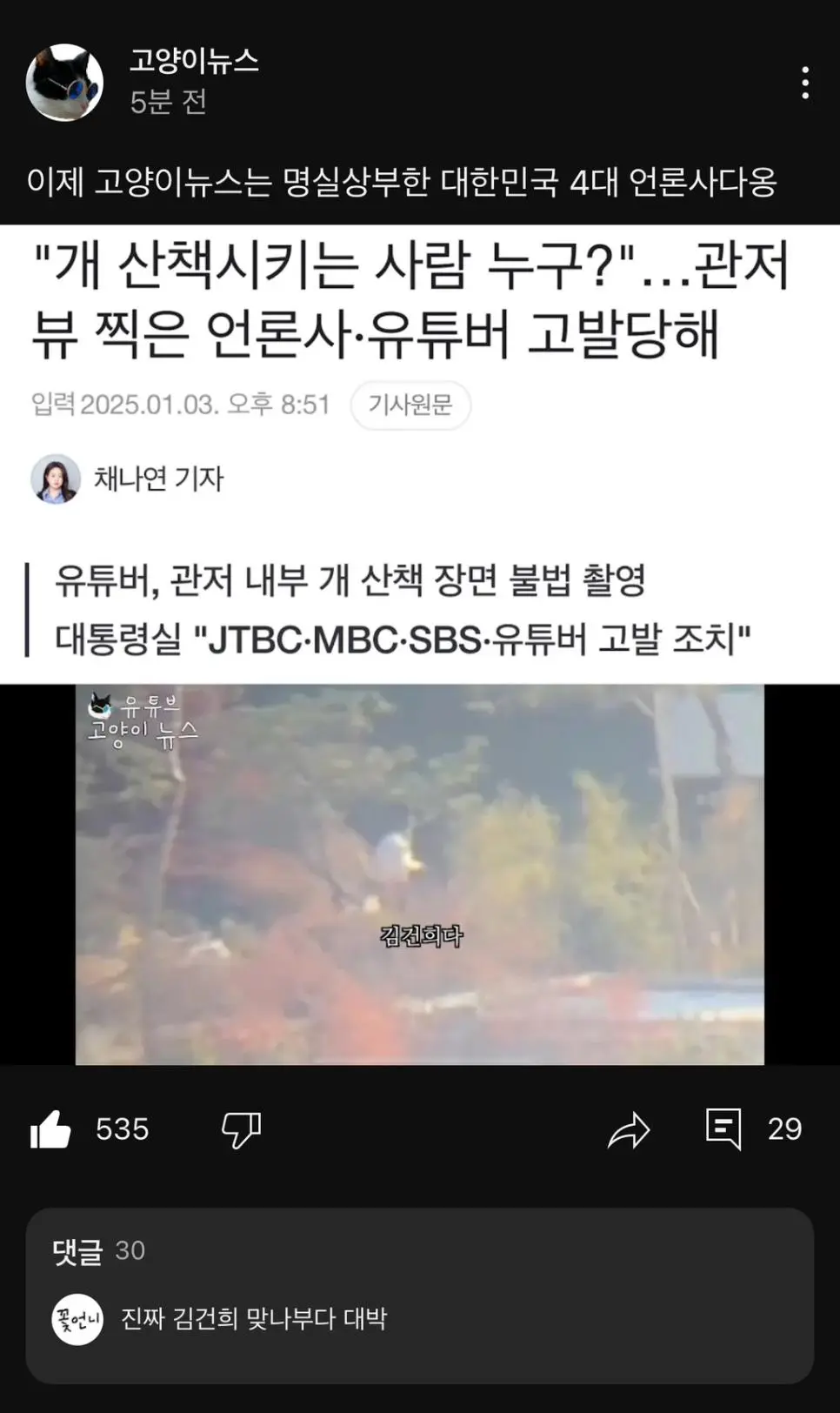 4대 언론으로 등극한 고양이뉴스