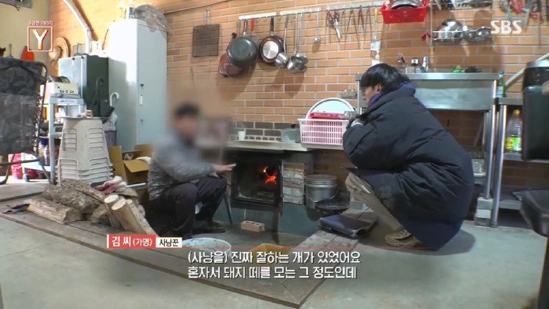 태백산맥에서 호랑이를 목격했고 증거로 발자국을 발견했다는 사람