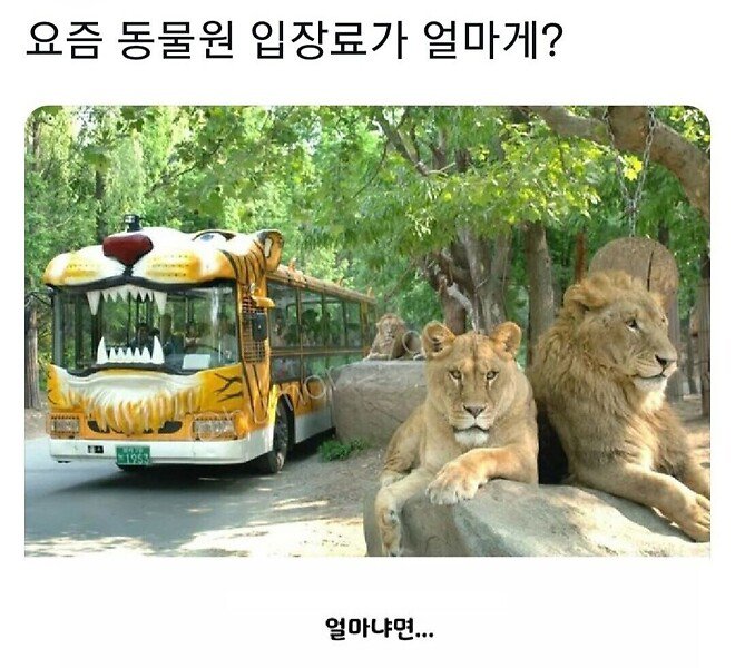 요즘 동물원 입장료가 얼마게?