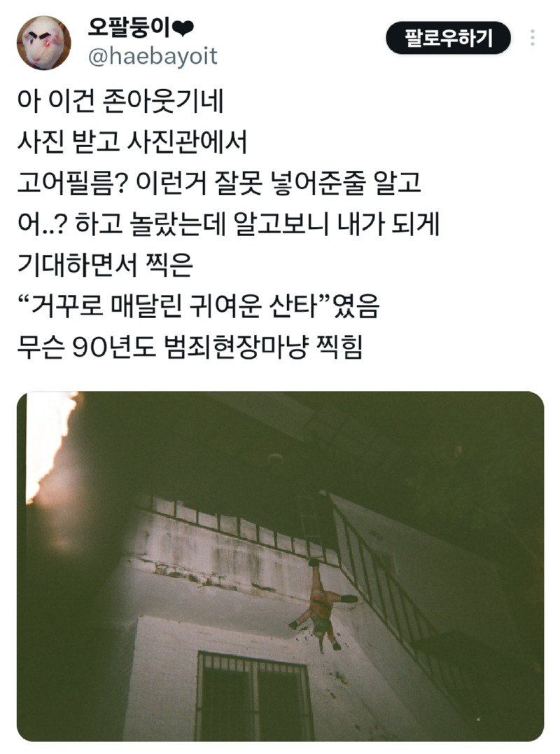 귀여운 인형 사진 같은걸 기대했던 사람