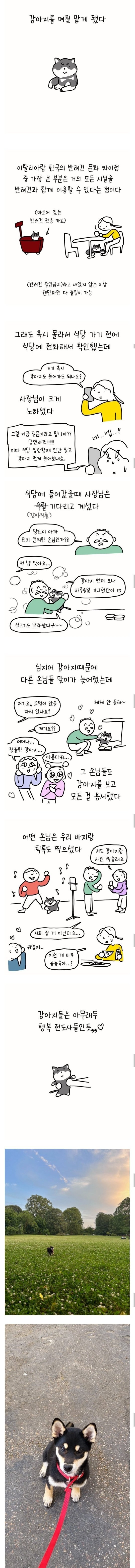 반려견 동반 가능한지 이탈리아 식당에 물어봤는데 주인이 극대노함