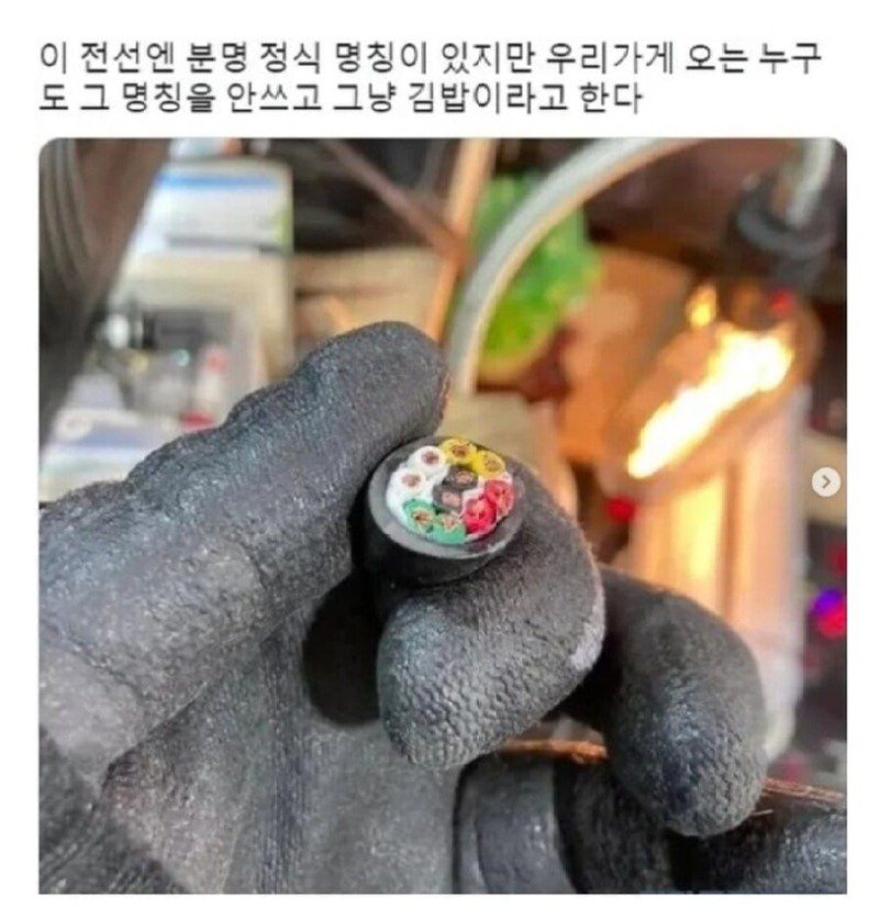 전기계의 누네띠네.jpg