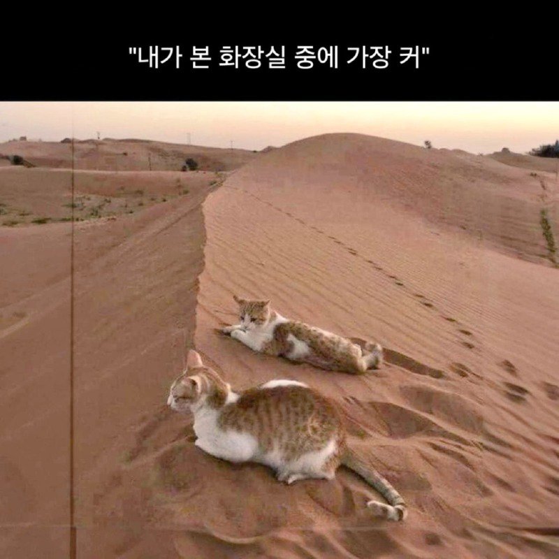 지구상에서 가장 큰 화장실