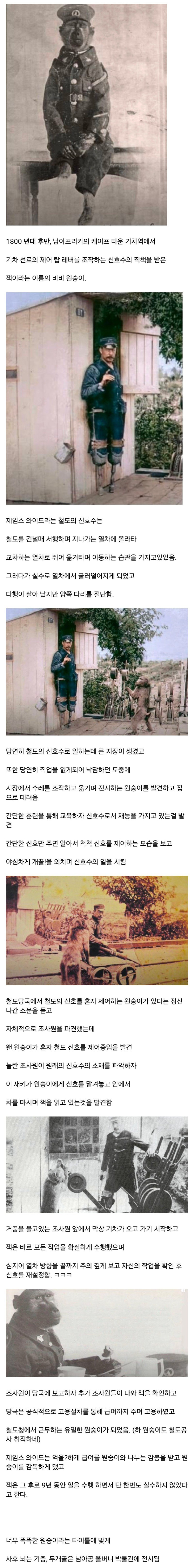 처음이자 마지막으로 철도청에 정식 고용된 원숭이