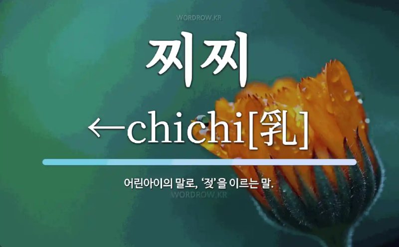 화면 캡처 2024-11-29 155526.png