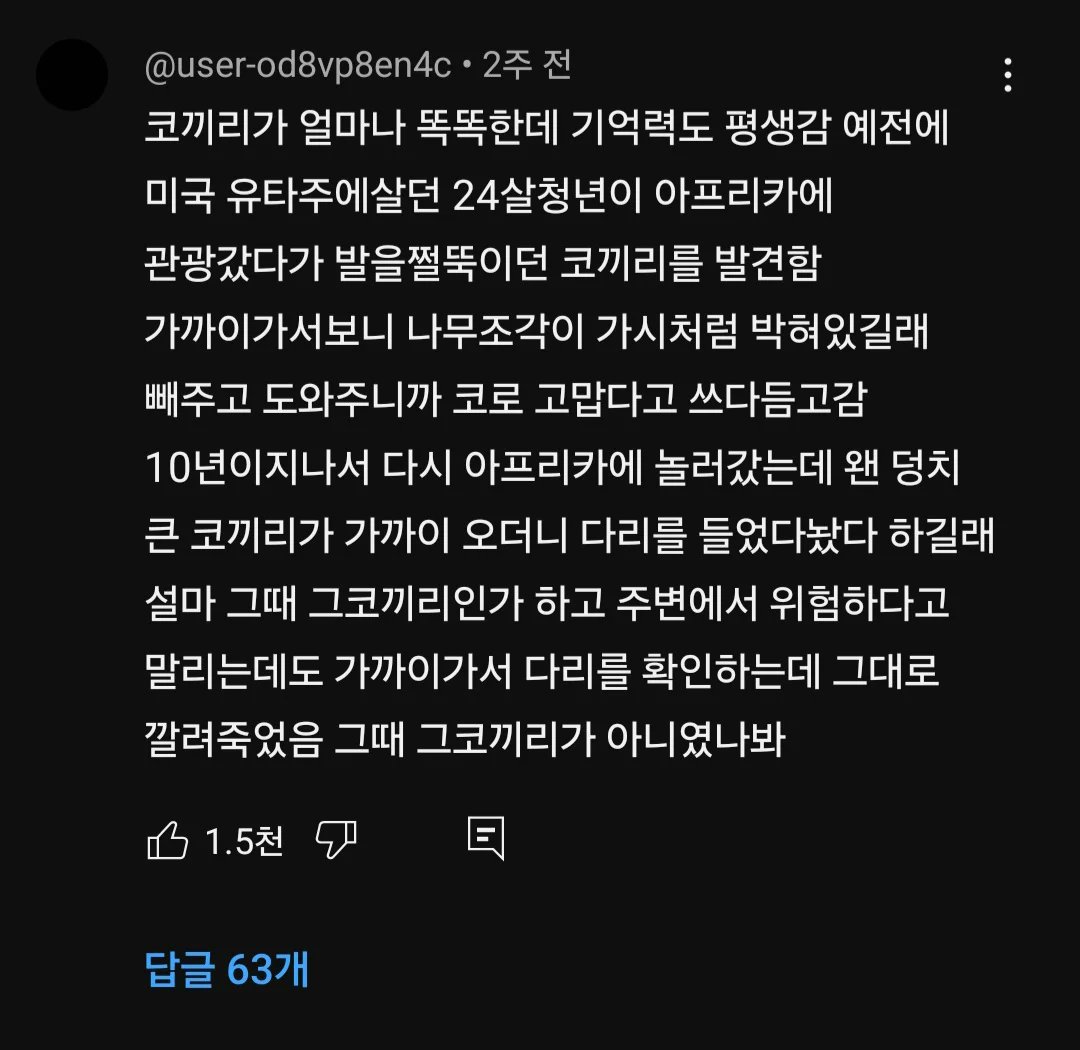 코끼리의 놀라인 지능