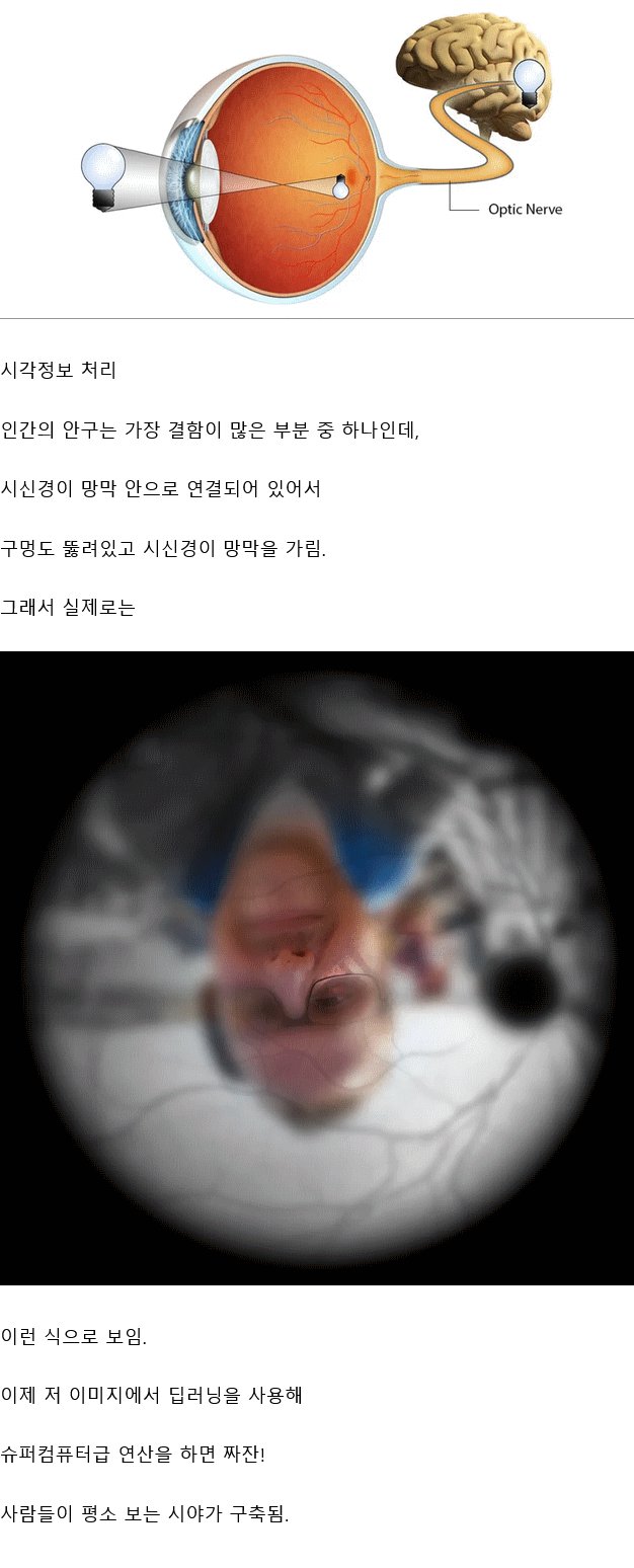 뇌 사용량의 가장 많은 부분을 차지한다는 기능