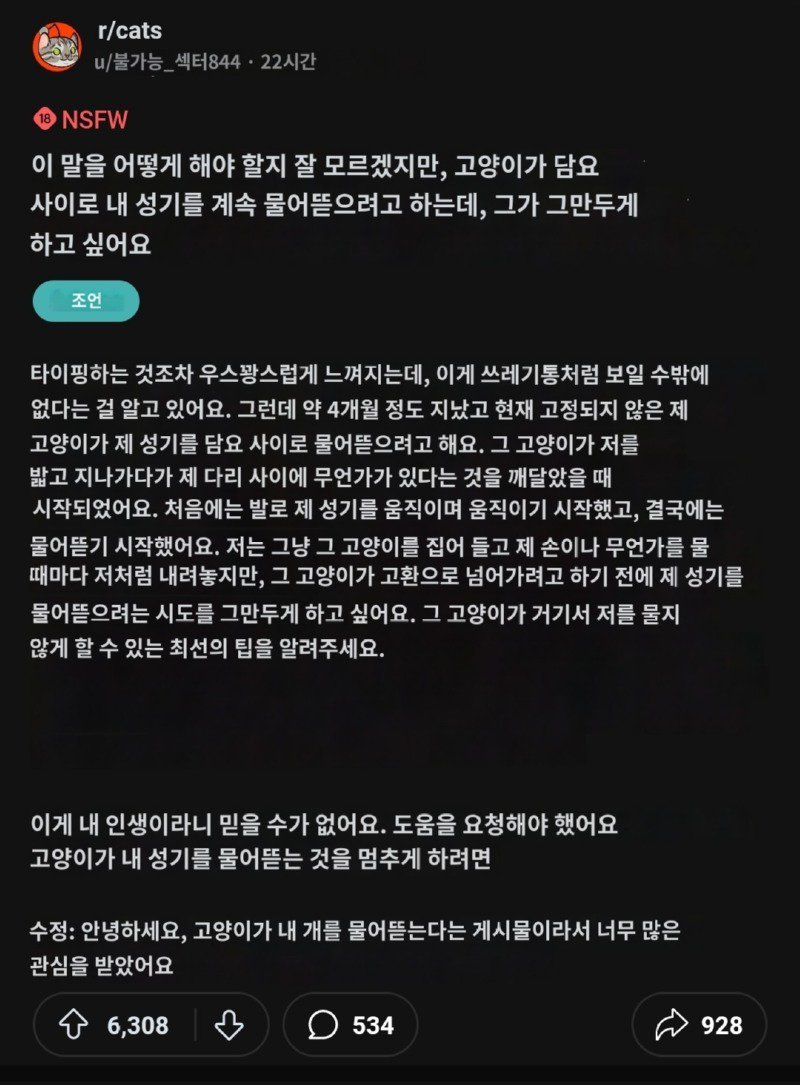 ㅇㅎ)고양이가 자꾸 제 고추를 물어요